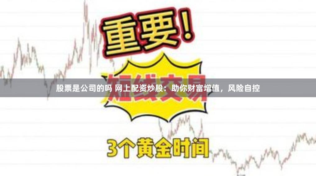 股票是公司的吗 网上配资炒股：助你财富增值，风险自控